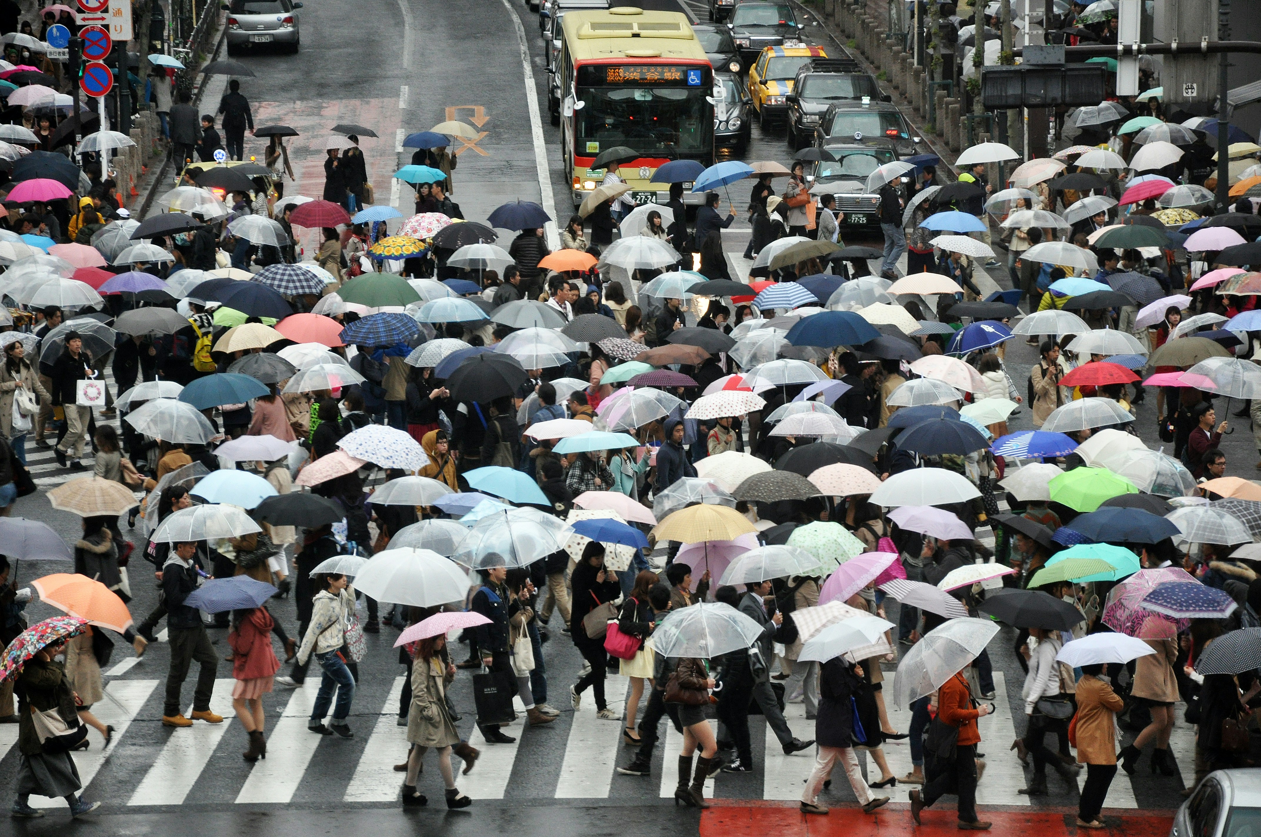 People with colorful umbrellas filling a pedestrian crossing